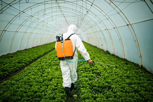 Best Residential Pest Control  in Royersford, PA
