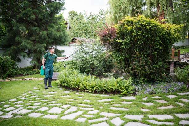 Best Commercial Pest Control Services  in Royersford, PA
