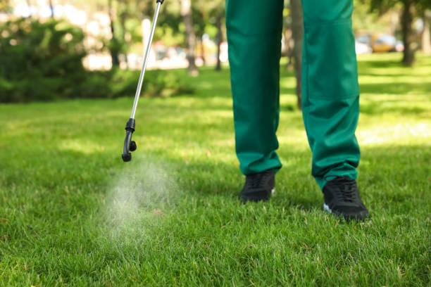 Best Pest Removal Services  in Royersford, PA