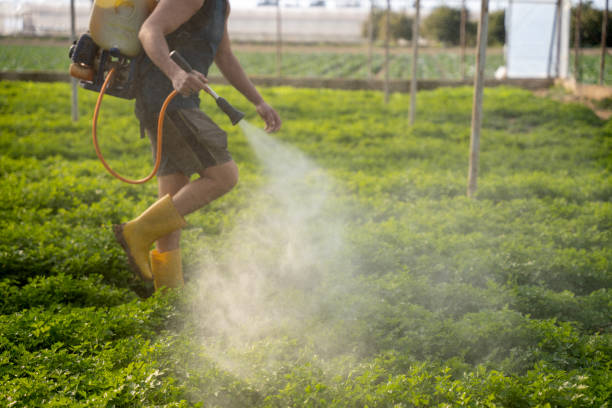 Best Exterminator Services  in Royersford, PA