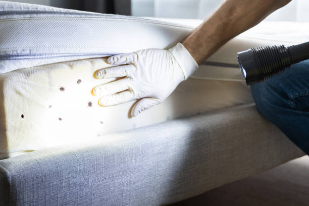 Best Pest Control for Businesses  in Royersford, PA