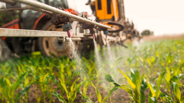 Best Wildlife Control Services  in Royersford, PA